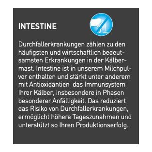 granovit Kälbermilch Premium Plus - Milchpulver zur Kälbermast (Entspricht QM-SF und IPS) ab 70kg