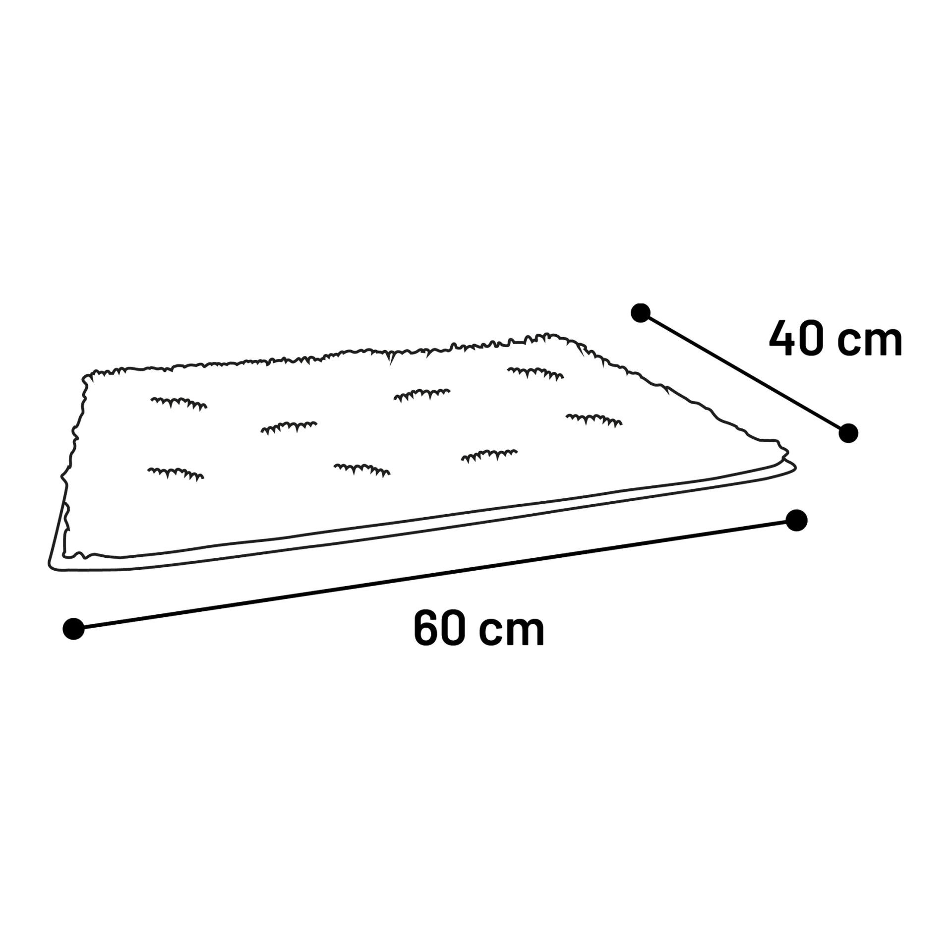 Katzenstreu Matte Rutt