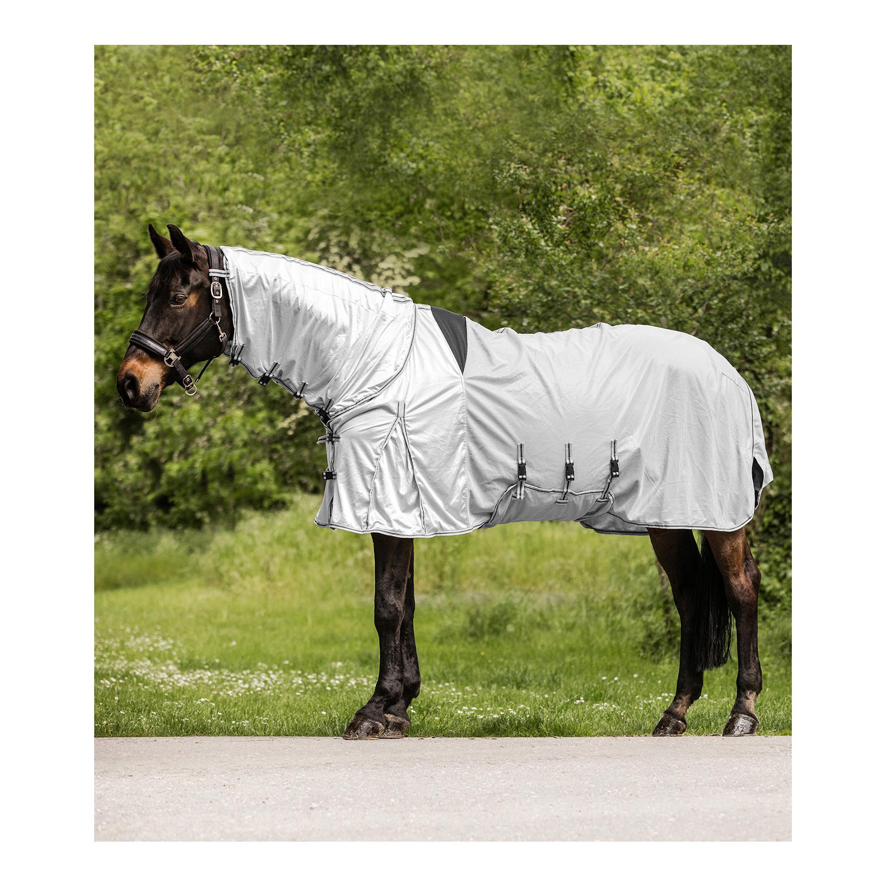 Ekzemer-Fliegendecke Protect