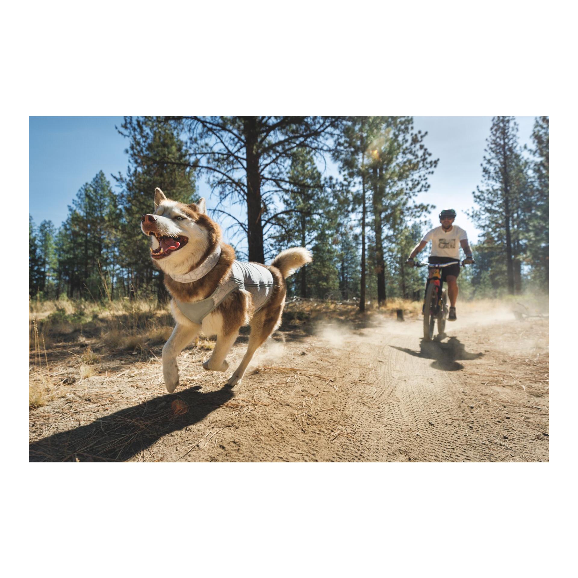 Ruffwear Swamp Cooler™ kühlende Hundeweste