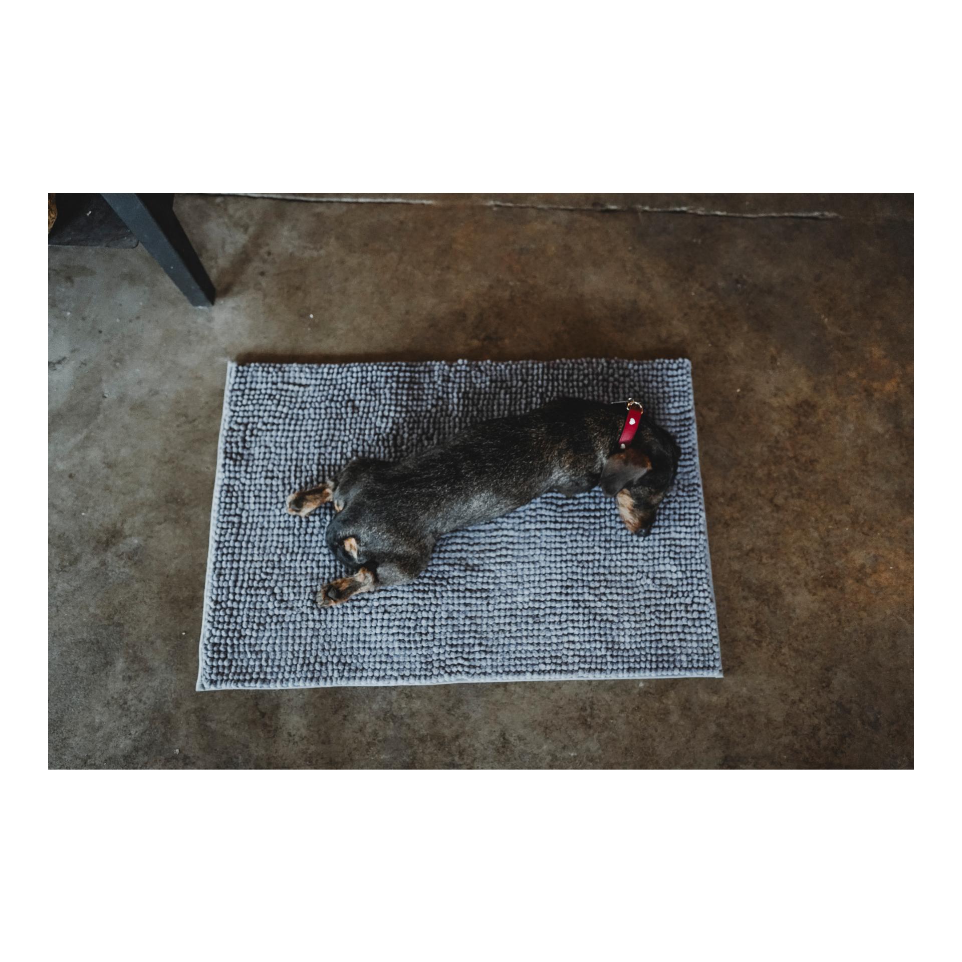 Schmutzfang-Hundematte Waterloo