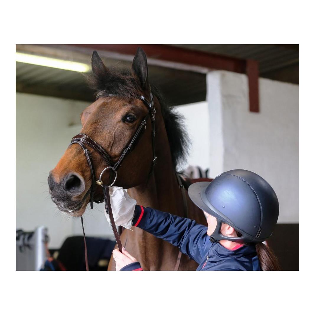 Tack Cleaner Handschuh