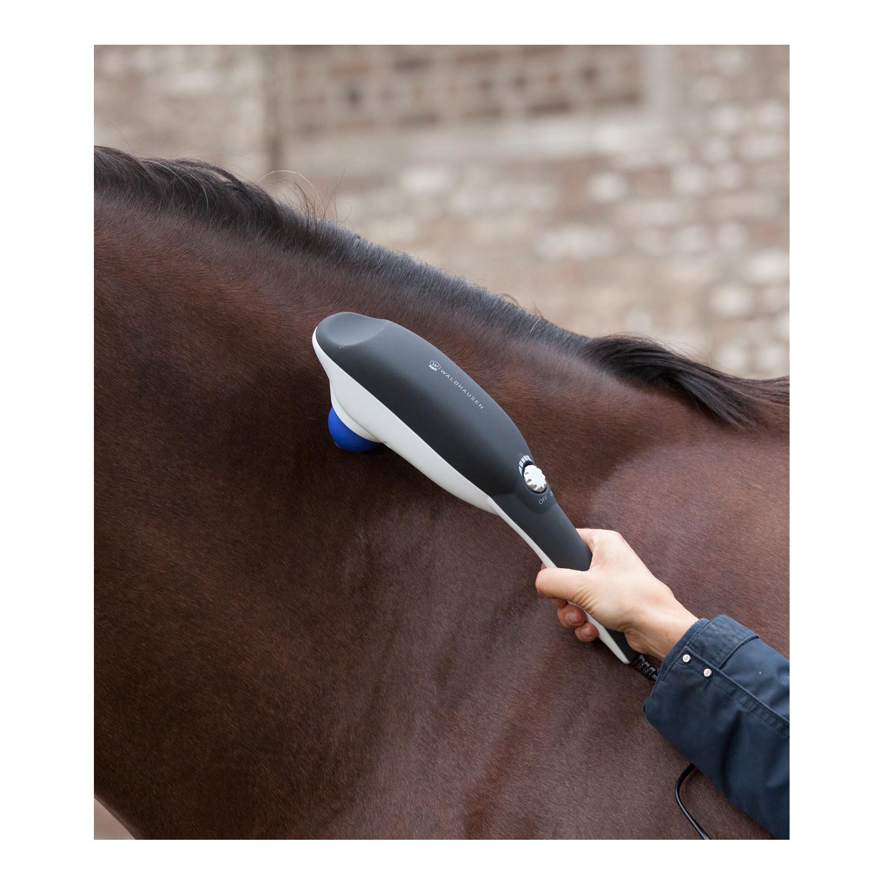 Super Dandy Go Relax - noir