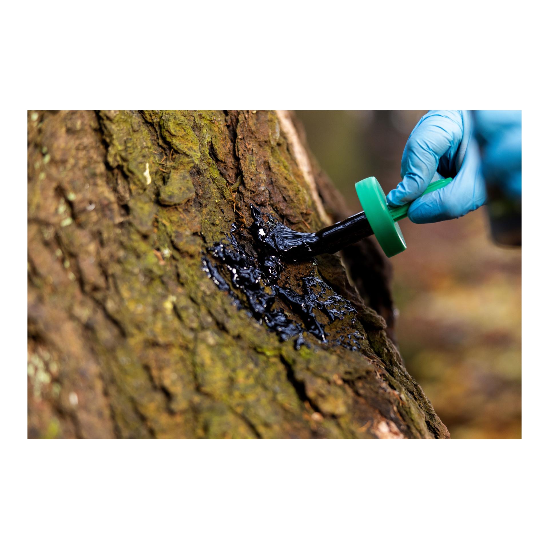 Weisskirchen Buchenholzteer - 500 ml Dose + Pinsel