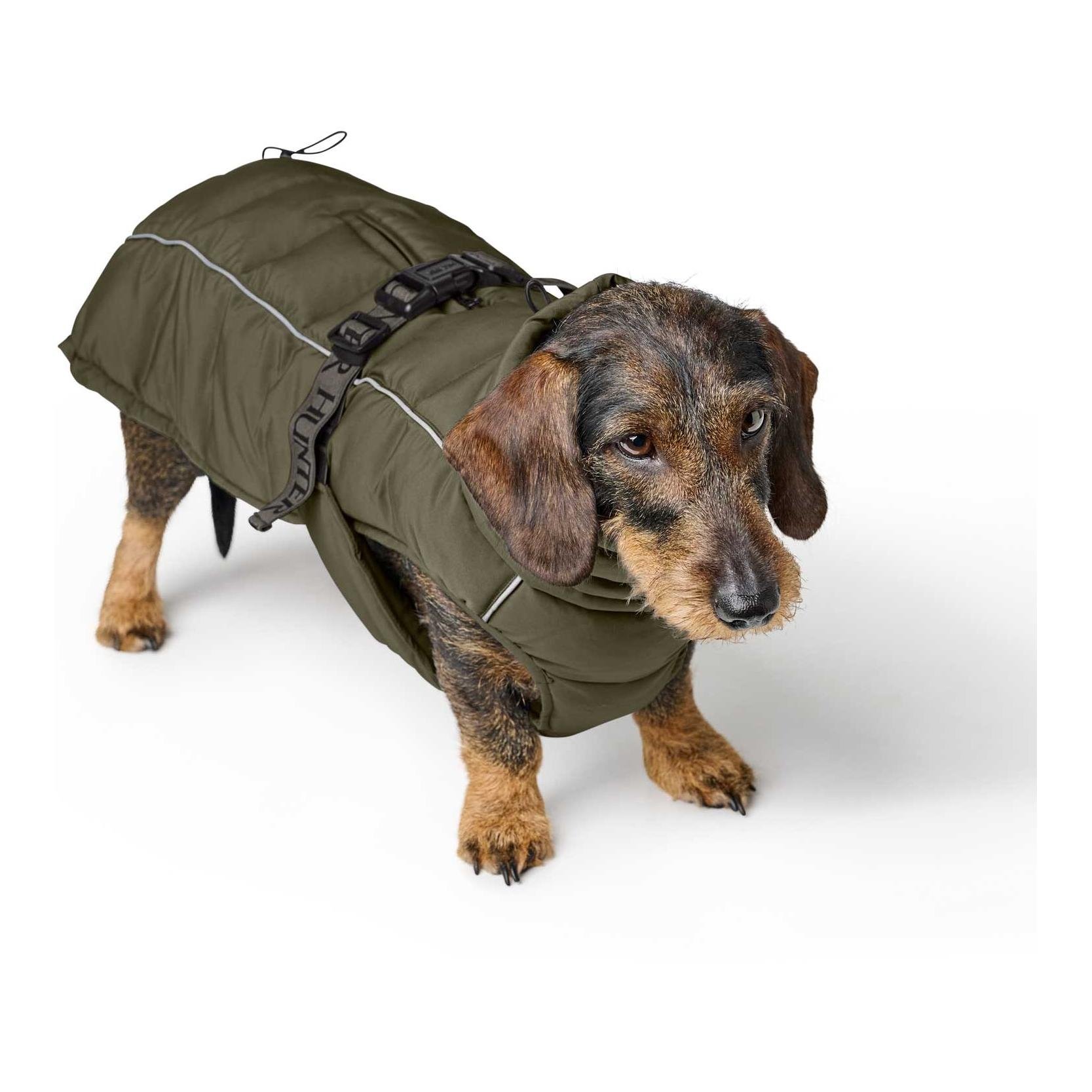 Hundemantel Paxson Dachshund