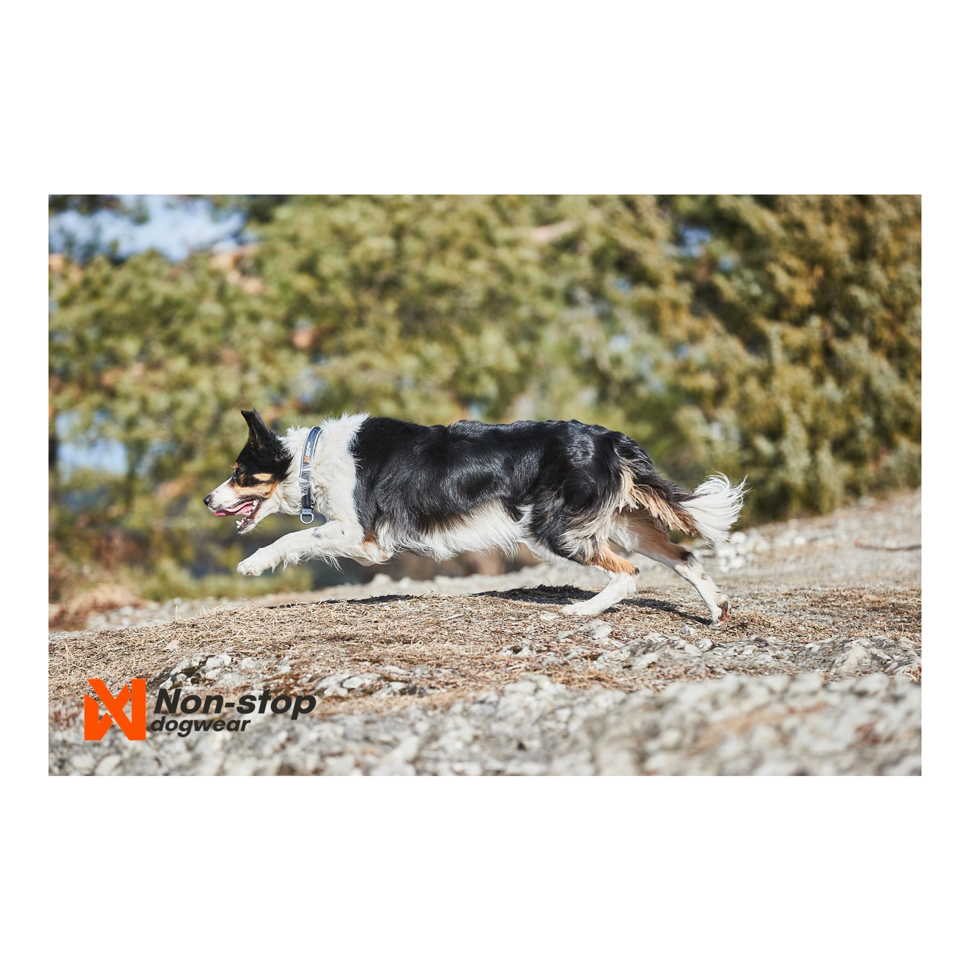 Cruise Collar - black