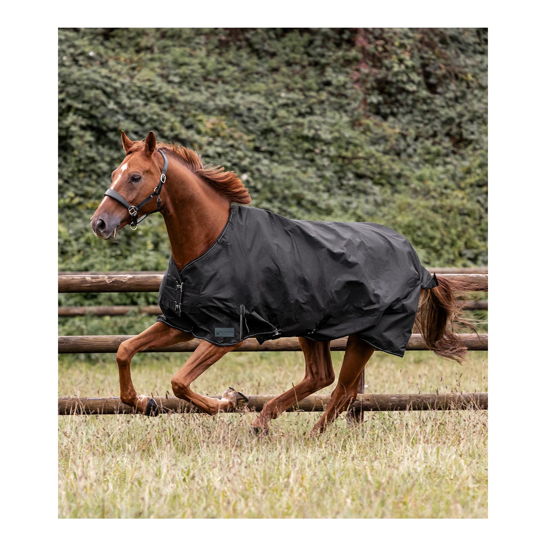 Weidedecke Nordic Light