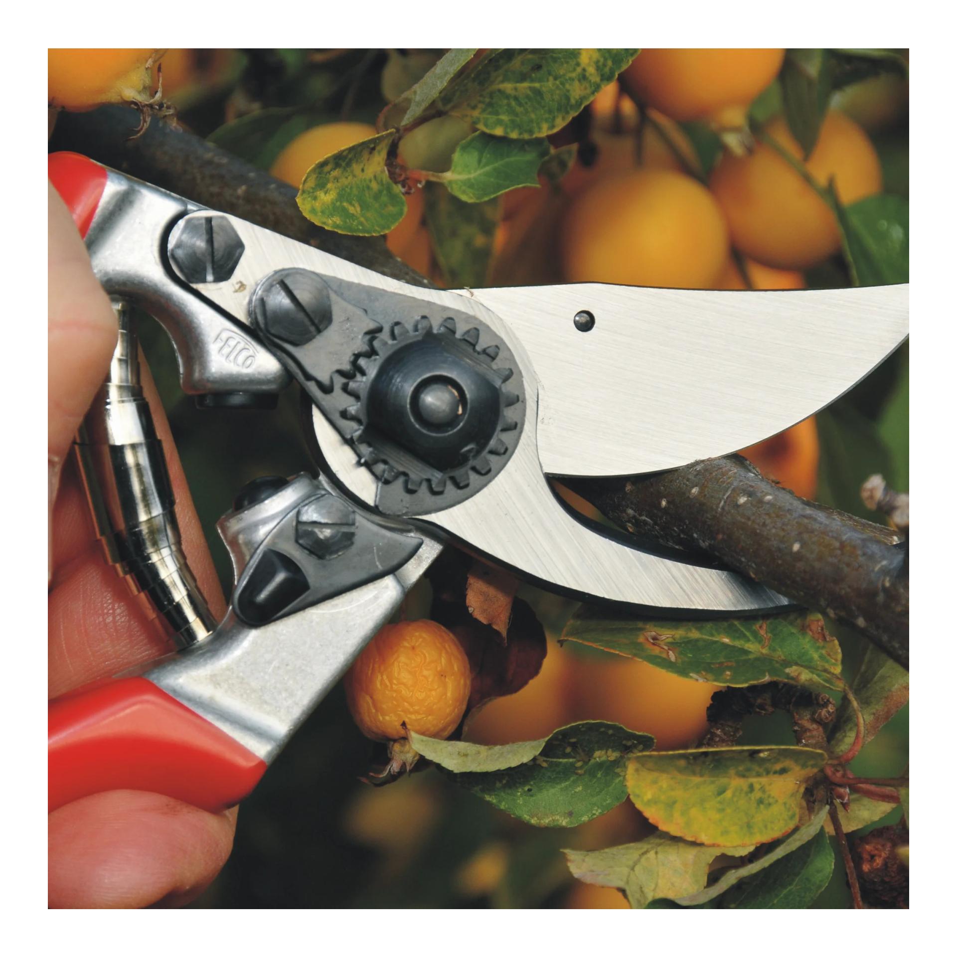 FELCO 9 Baum-, Reb- und Gartenschere