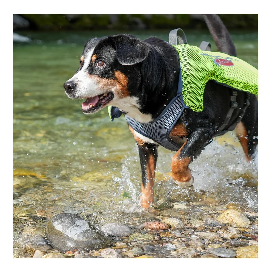 Beat Grossenbacher Gilet de sauvetage pour chiens