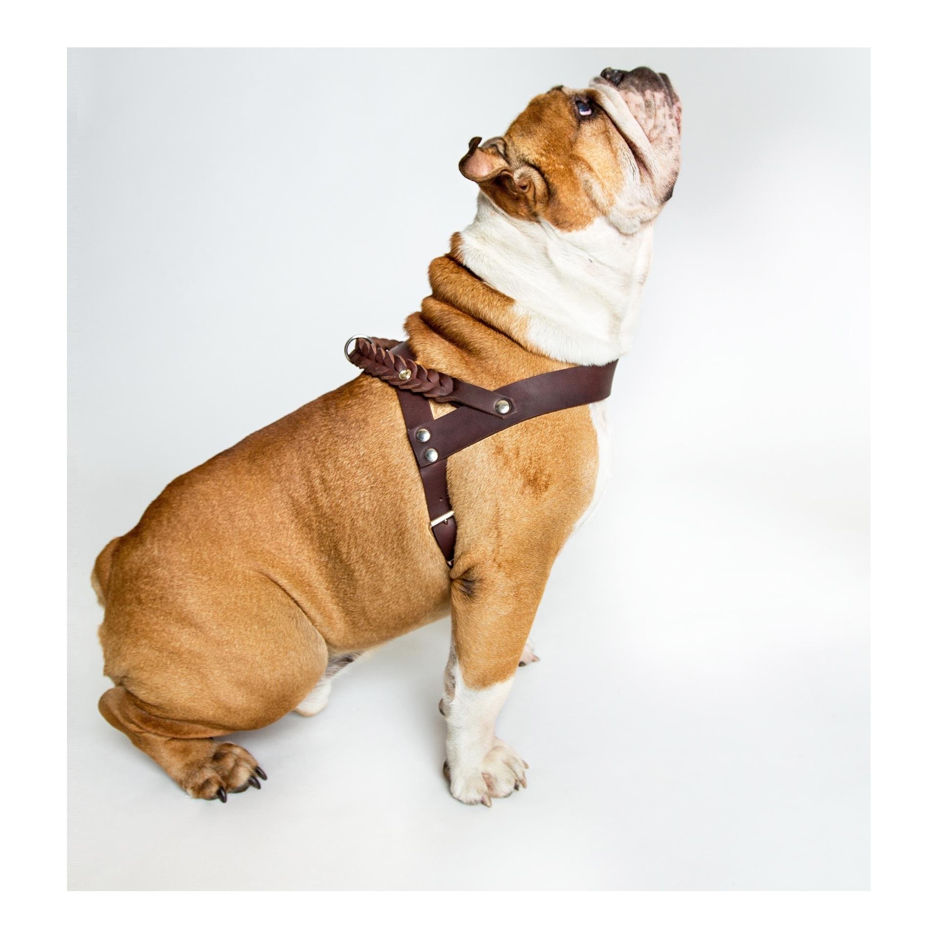 Geschirr Central Park Saddle Brown Echtleder