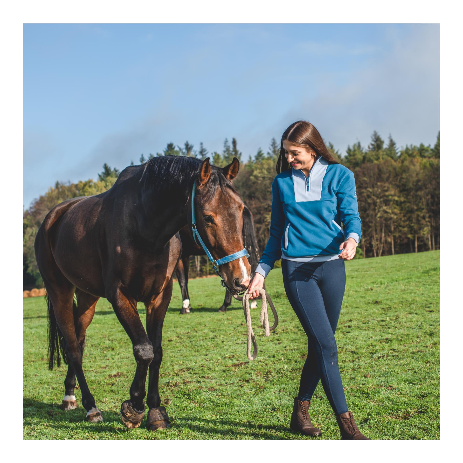 Marengo Zip Sweatshirt Elements Ocean Blue