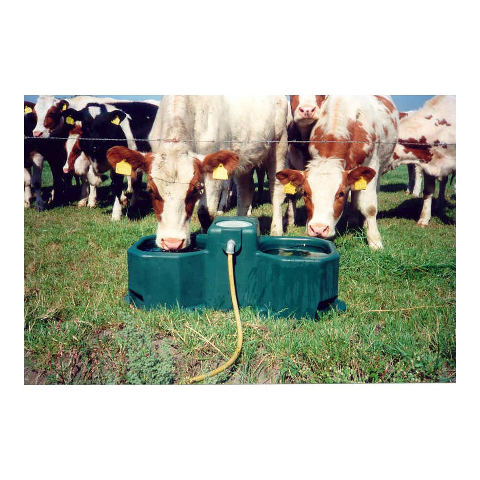 Laufstall- und Weidetränke Modell WT80/WT80-N