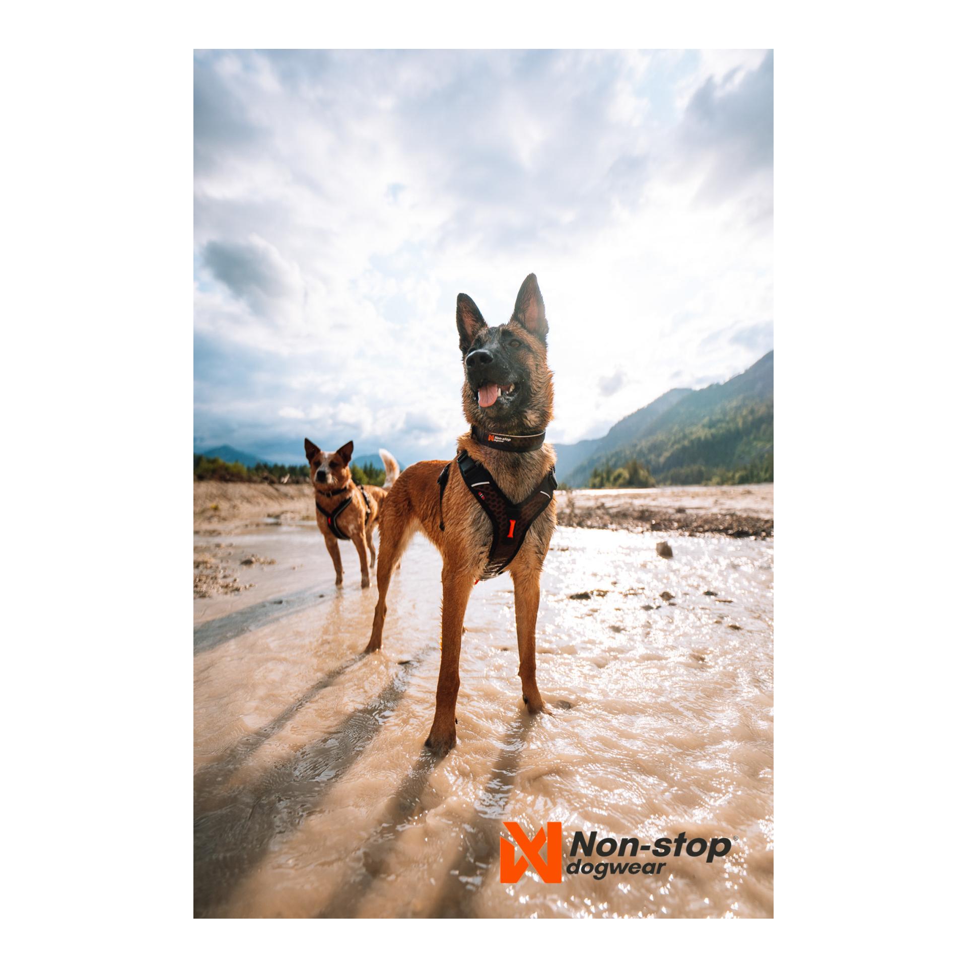 Rock Adjustable Collar