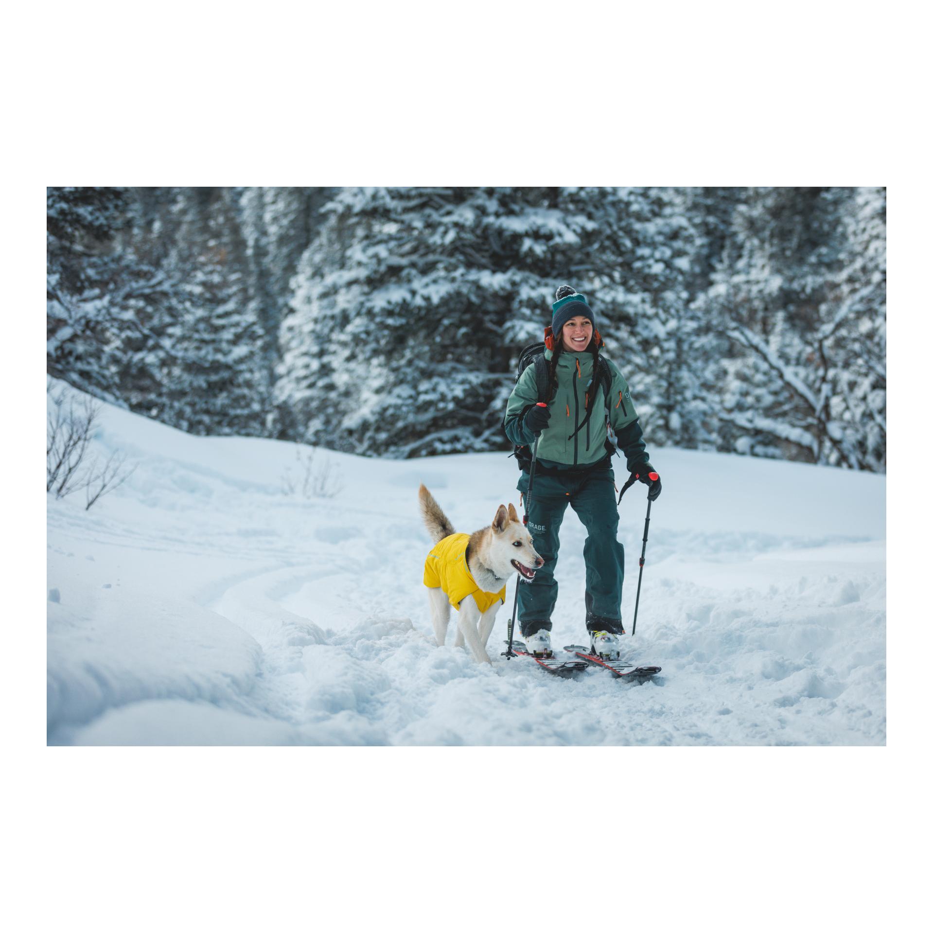 Hundemantel Vert Jacket