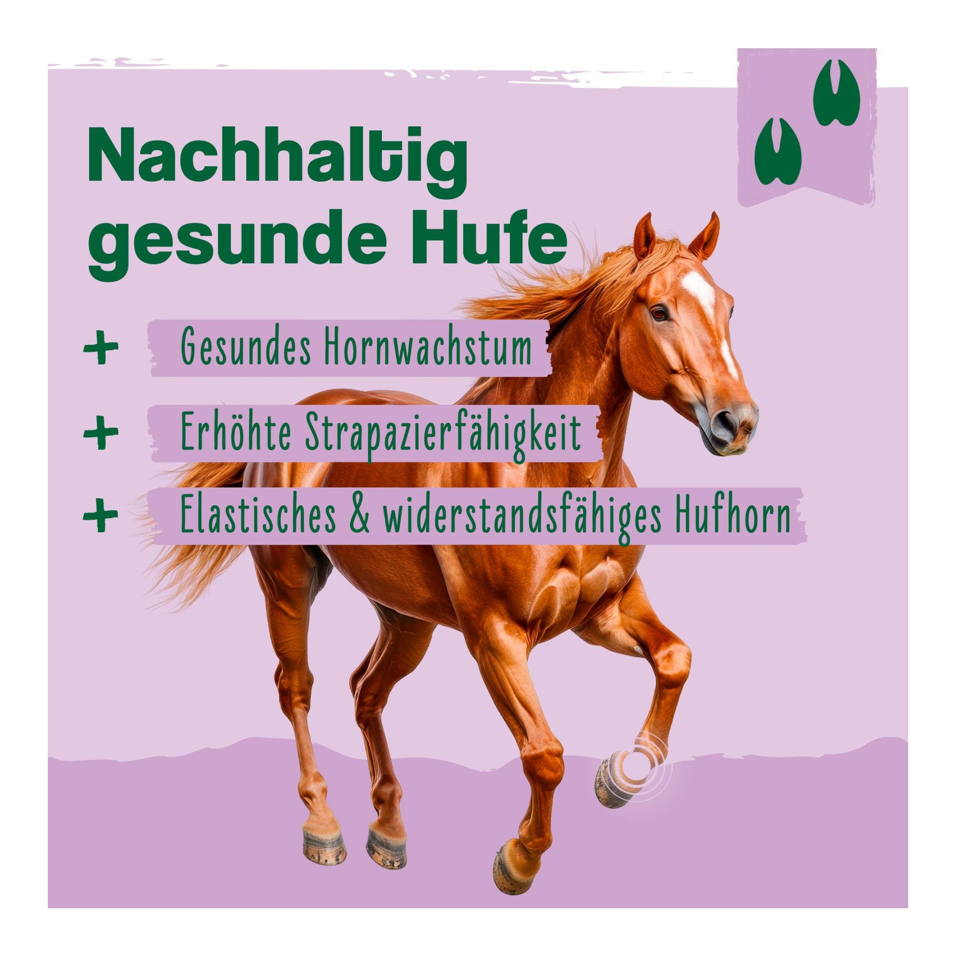 IdaPlus Biotin + Zink für Pferde - hochdosiert - verbessert Hufqualität & Hufwachstum 