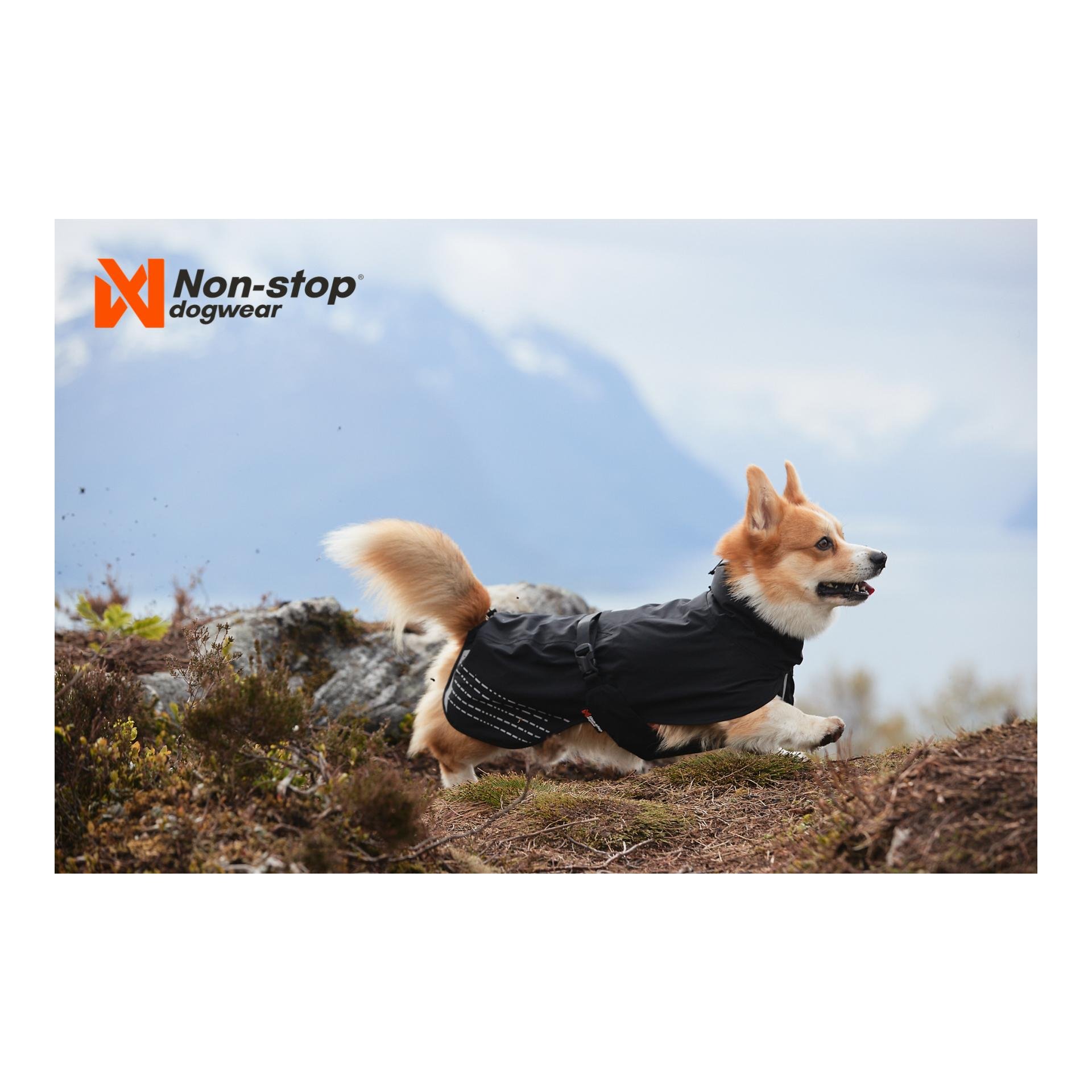 manteau chien non stop