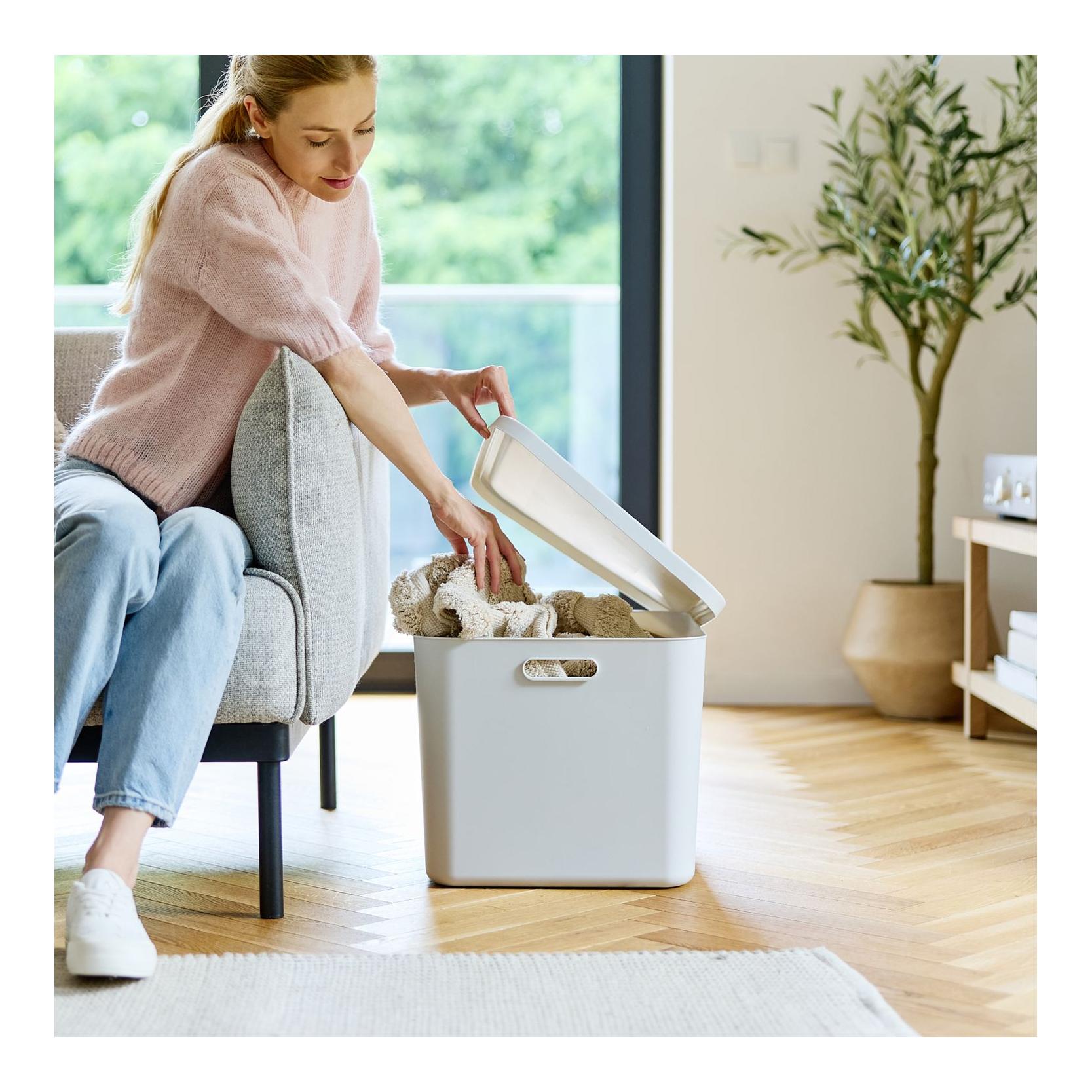 Rotho Multibox ALBULA
