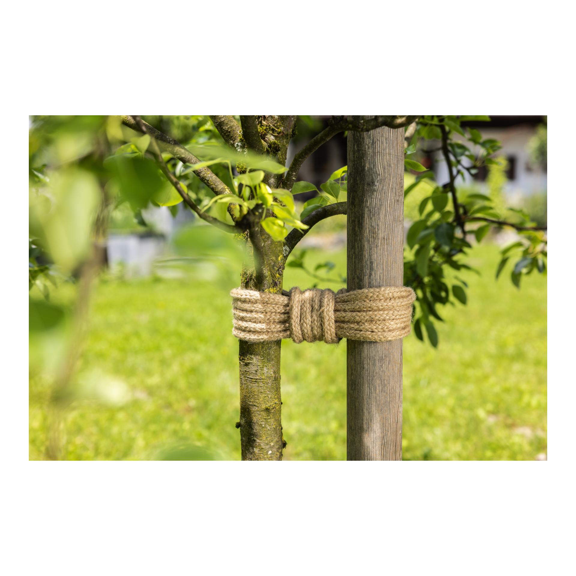 Windhager greenLine ÖKO-Jute-Strick Baum-Anbinder