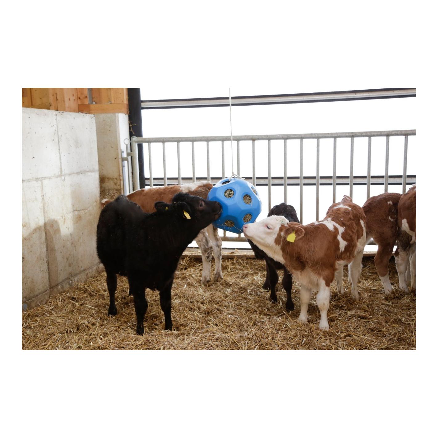 HeuBoy Futterspielball - blau