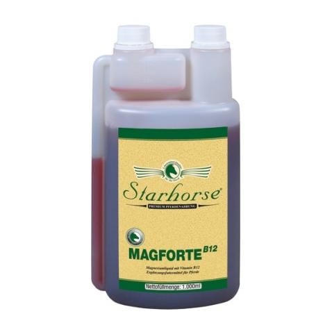 Image of Starhorse Magforte B12 bei Hauptner.ch