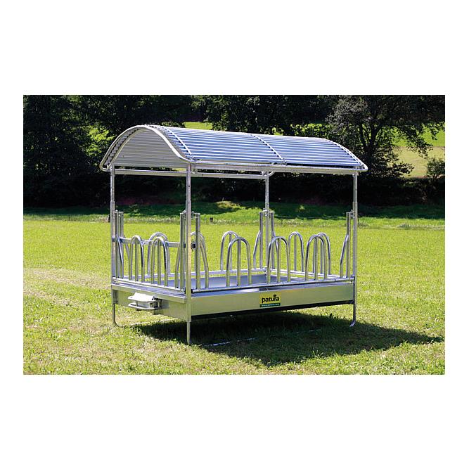 Image of Patura Grossballenraufe mit Palisadenfressgitter bei Hauptner.ch