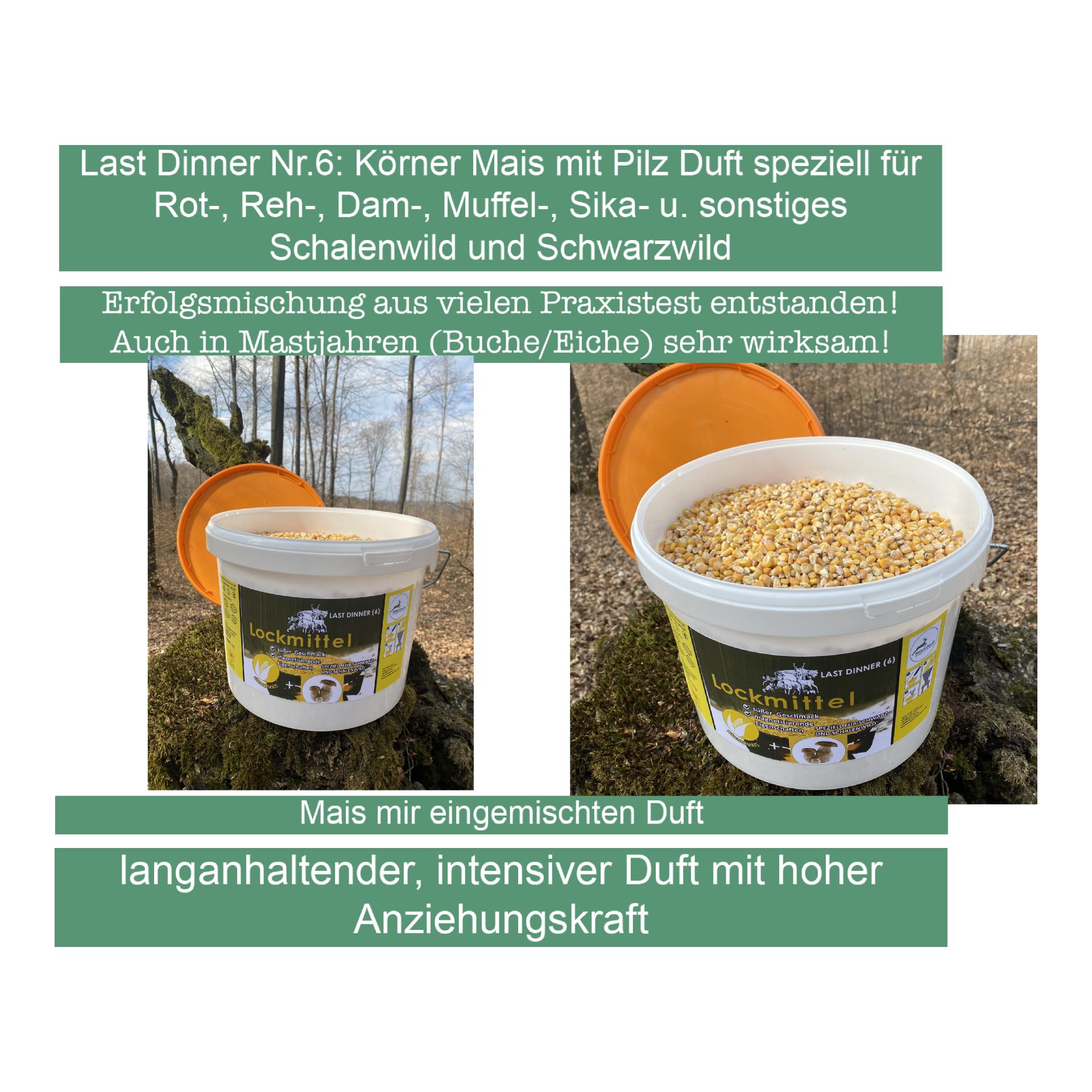 Last Dinner Nr. 6 Mais mit Pilz Duft/Geschmack