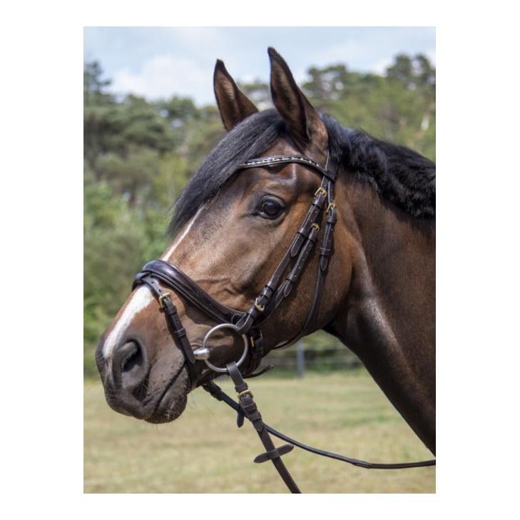 Image of HKM Zaum Leana - braun bei Hauptner.ch