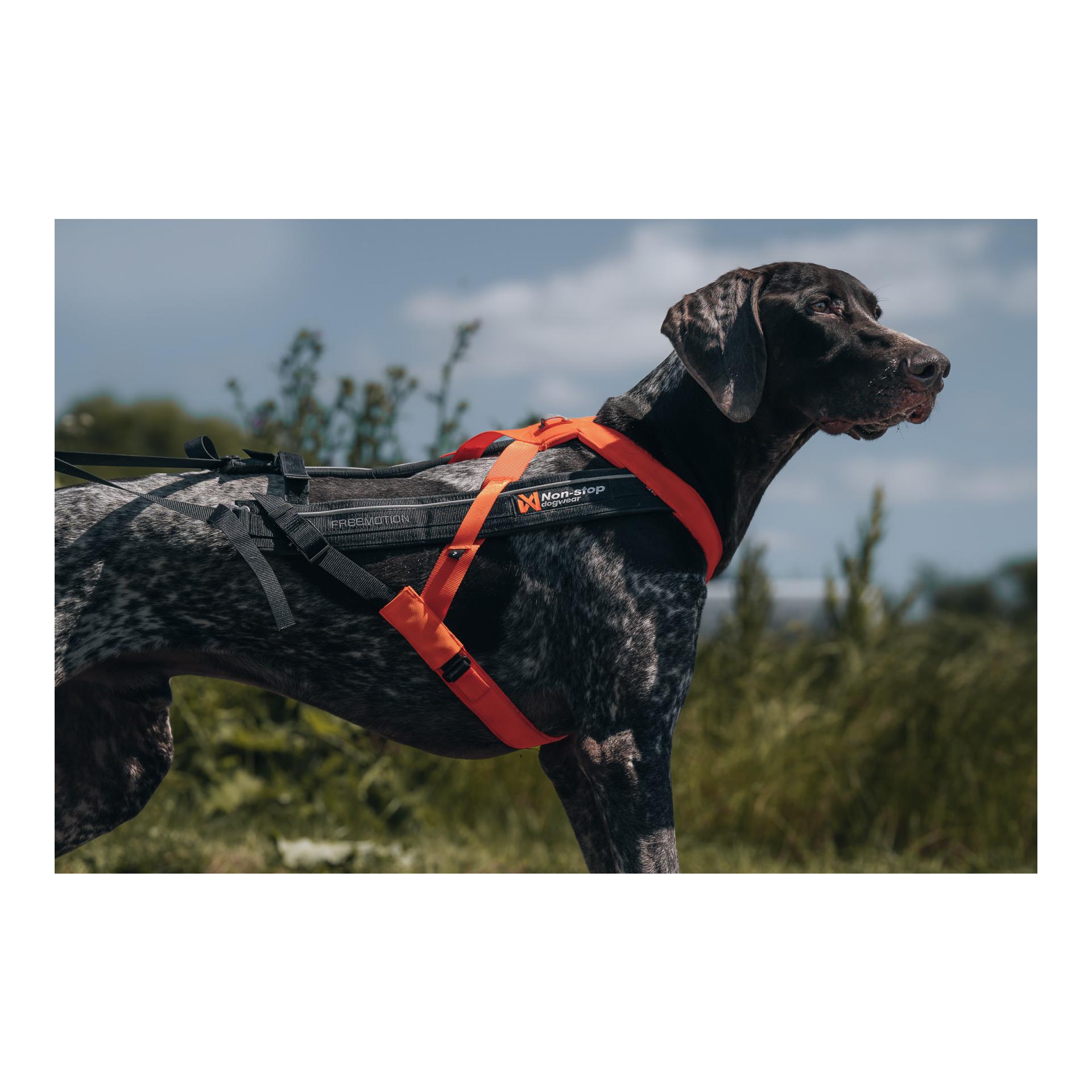 Zuggeschirr Freemotion Harness 5.0