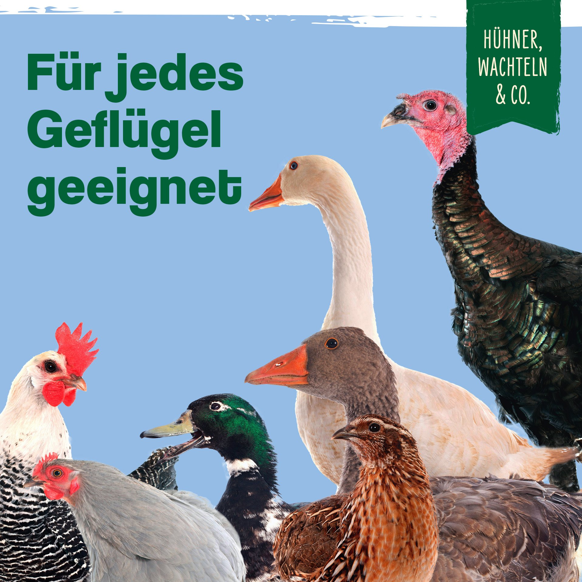 IdaPlus Geflügel Bierhefe Vitabrew - Futterergänzung für Geflügel