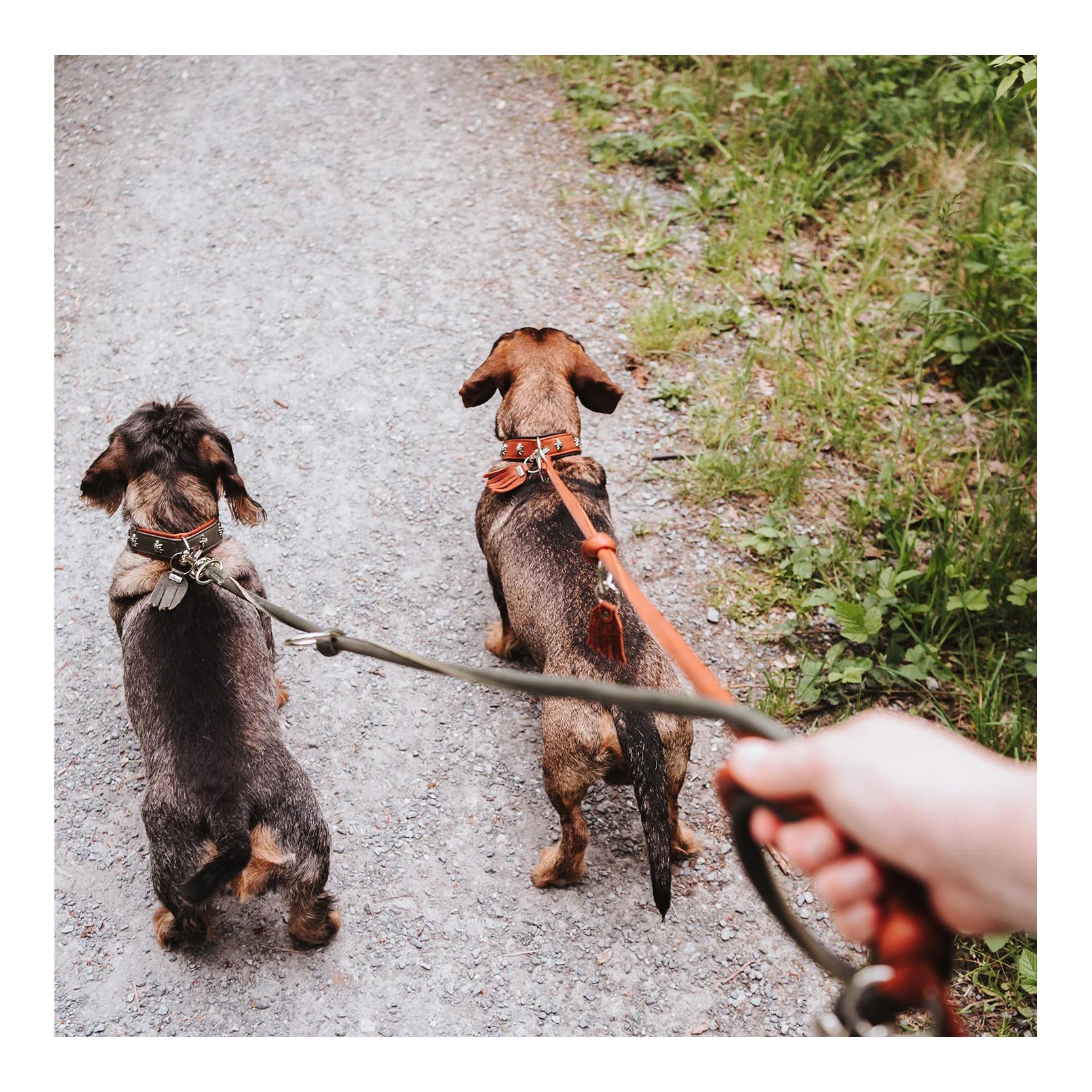 Verstellbare Hundeleine München