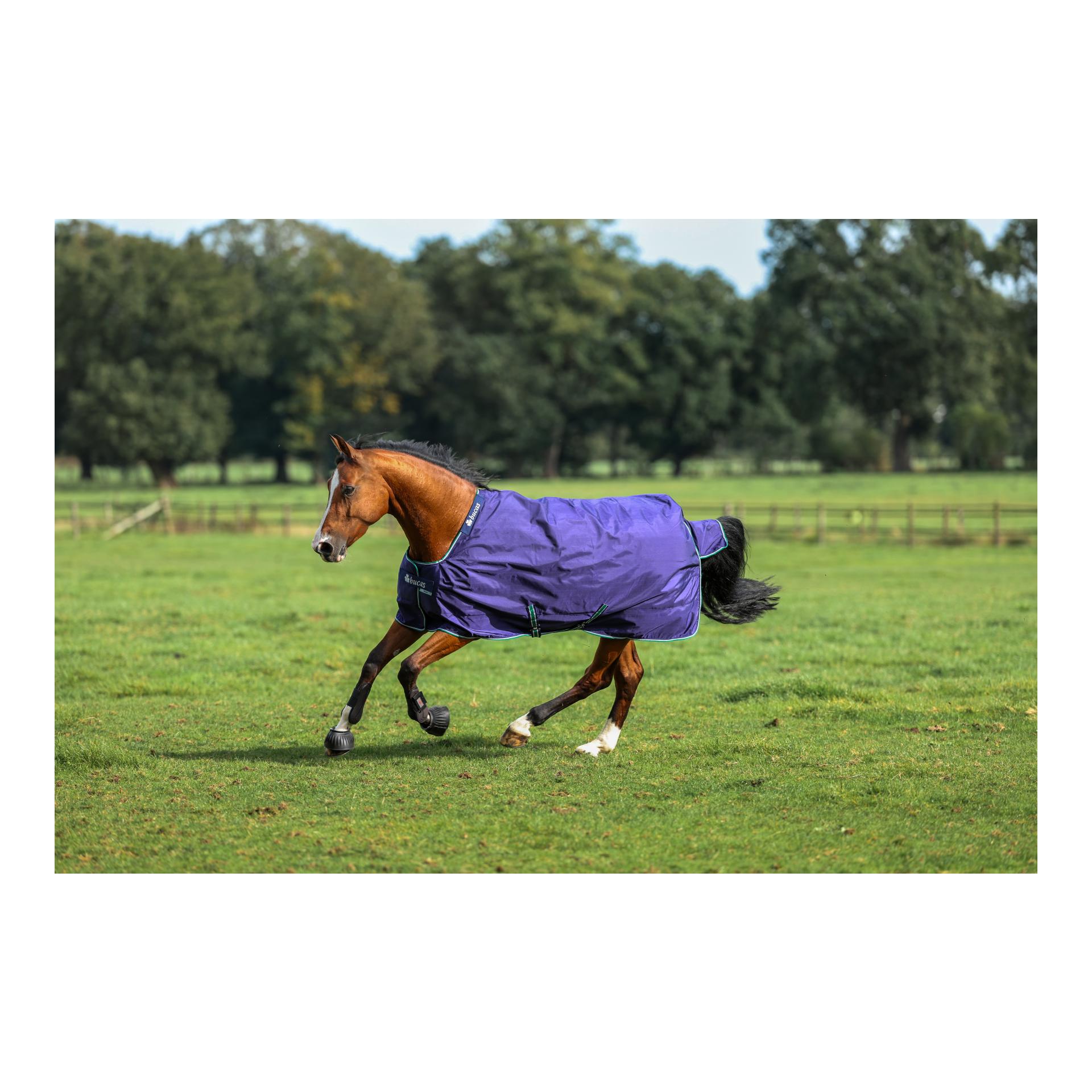 Bucas Couverture d'extérieur Smartex Rain - bleu