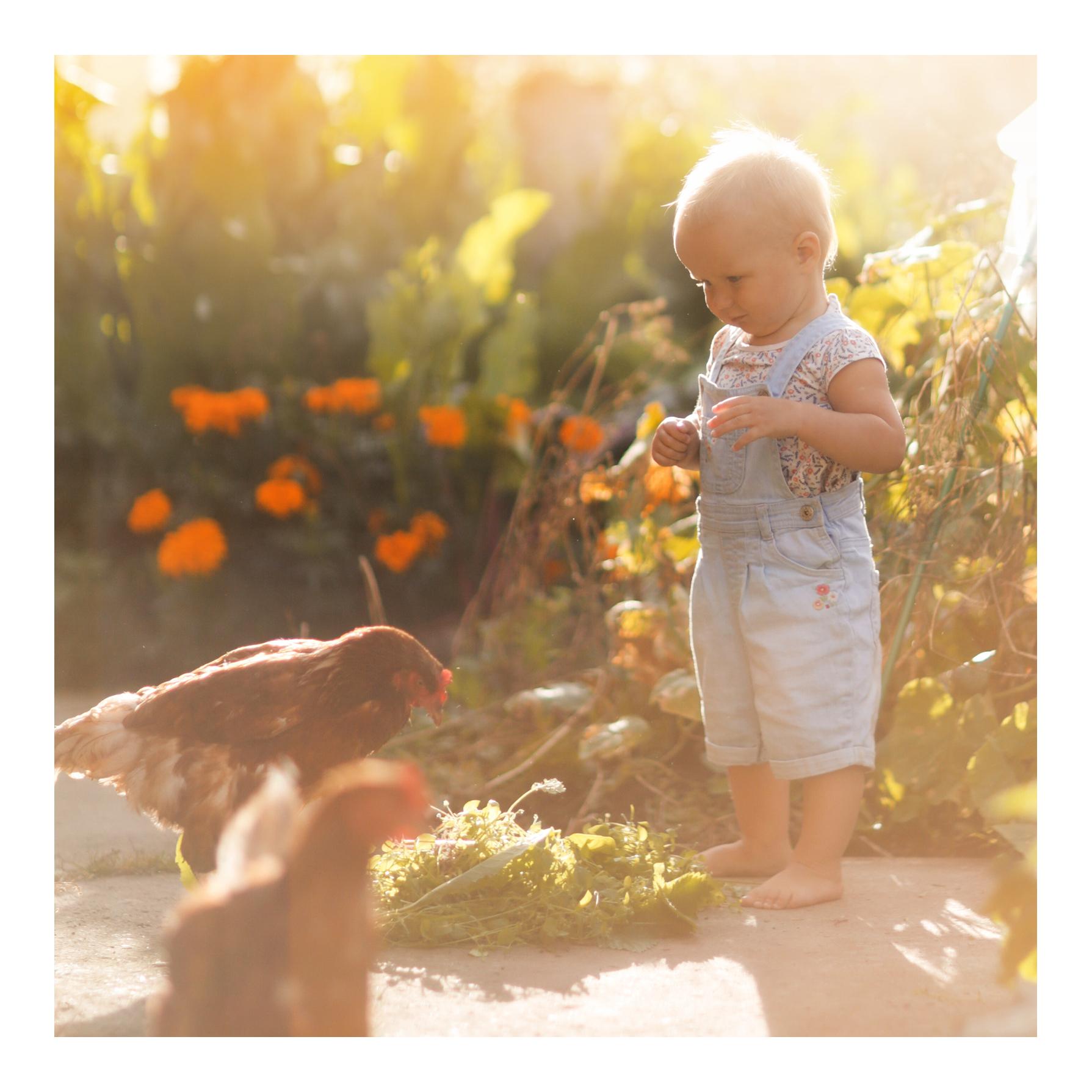 ReVital - zur Regeneration und Stärkung nach Milbenbefall, Wurm- und Kokzidienbelastung