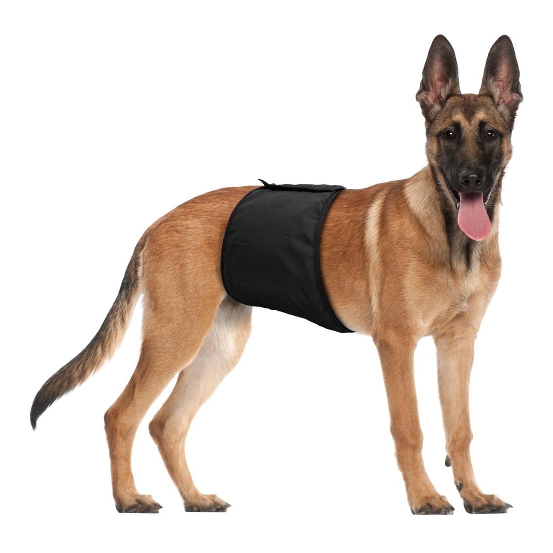 Rüden Hundeschutzhose