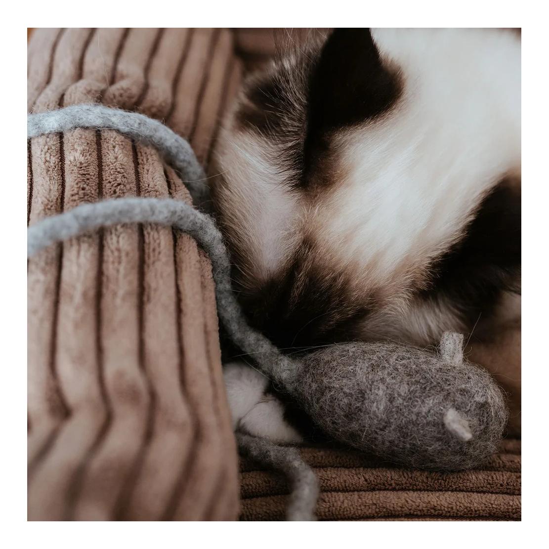 Katzenspielzeug Mousi long