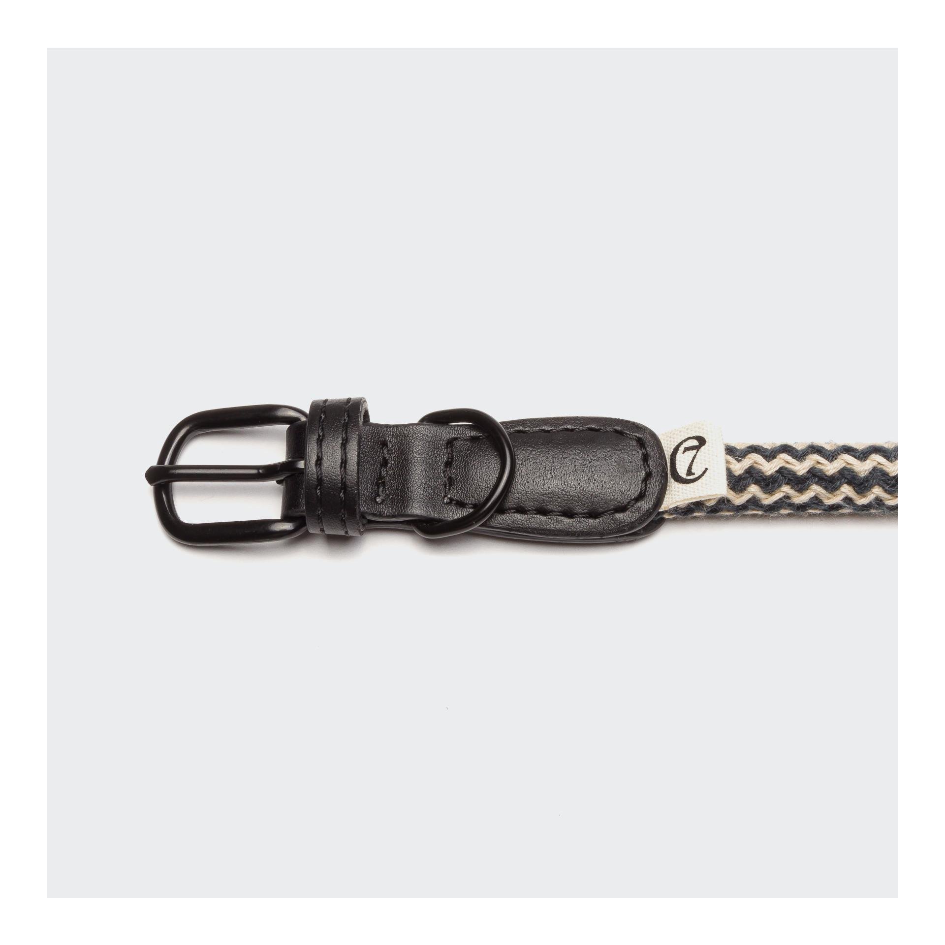 Hundehalsband Mauerpark