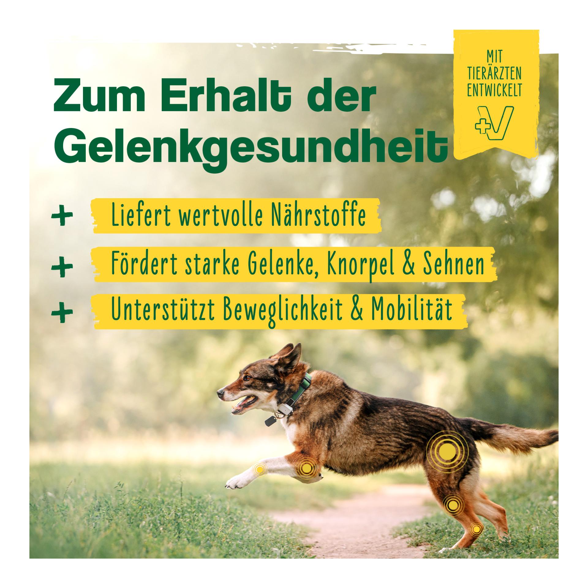 IdaPlus 12-in-1-Move Complex