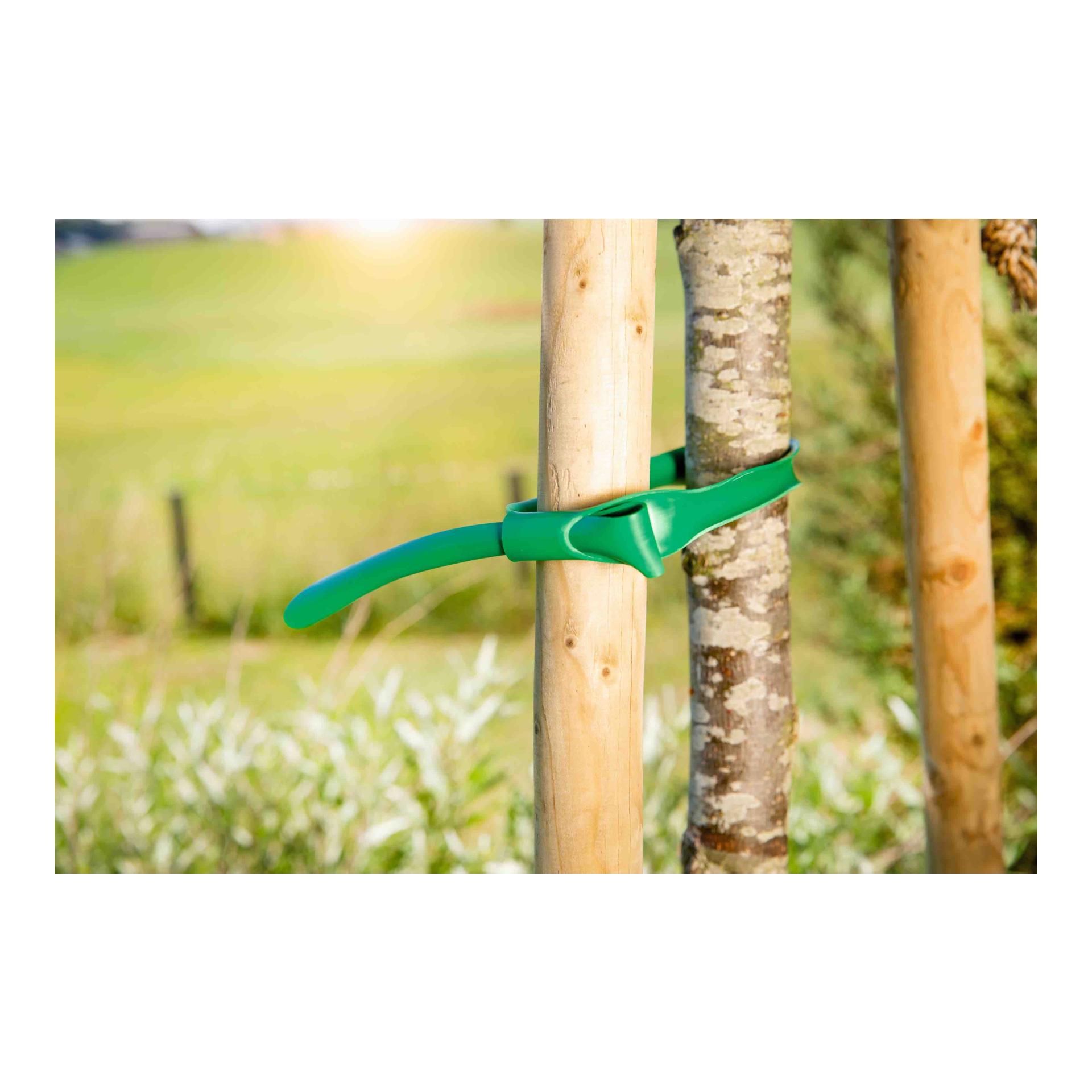 Image of Windhager Baum- und Universalbinder easy-fix - grün bei Hauptner.ch