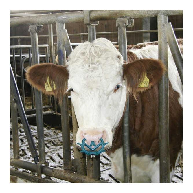 Viehsaugentwöhner MÜLLER 2010