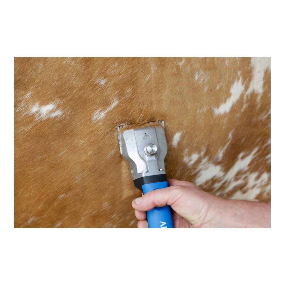 Akkuschermaschine Bonum Rind inkl. 1 Akku - blau