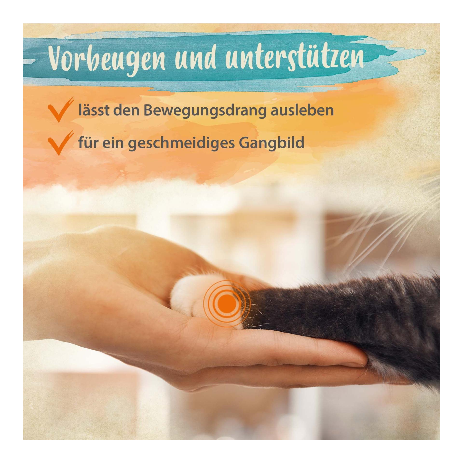 IdaPlus Grünlippmuschelpulver - Nahrungsergänzung