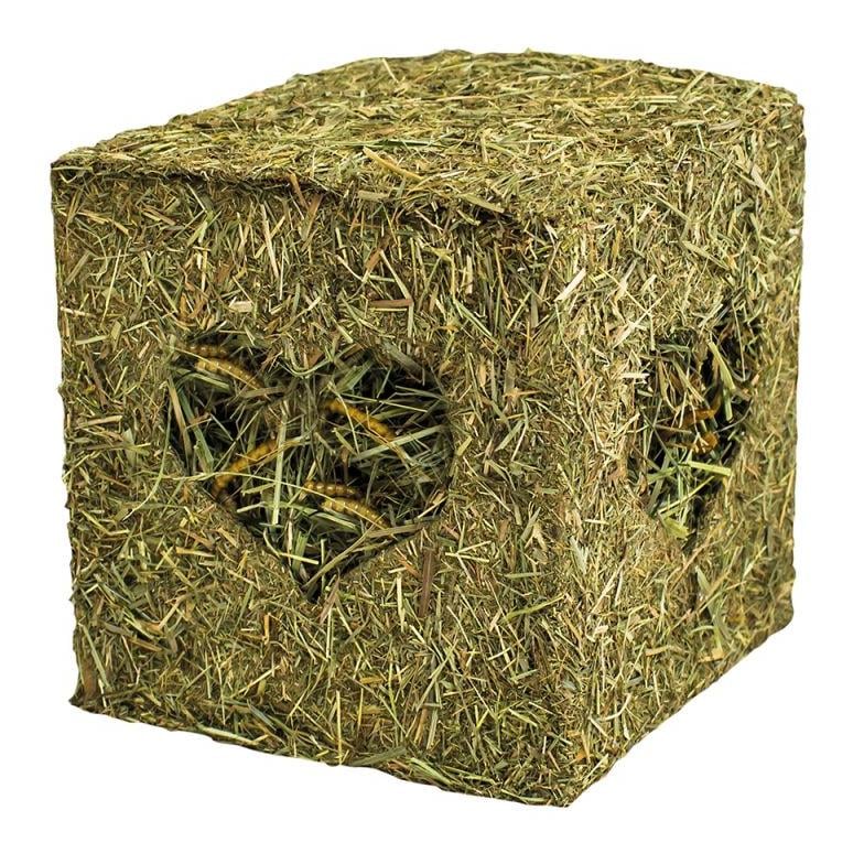 Heu-Würfel mit Mehlwürmern 