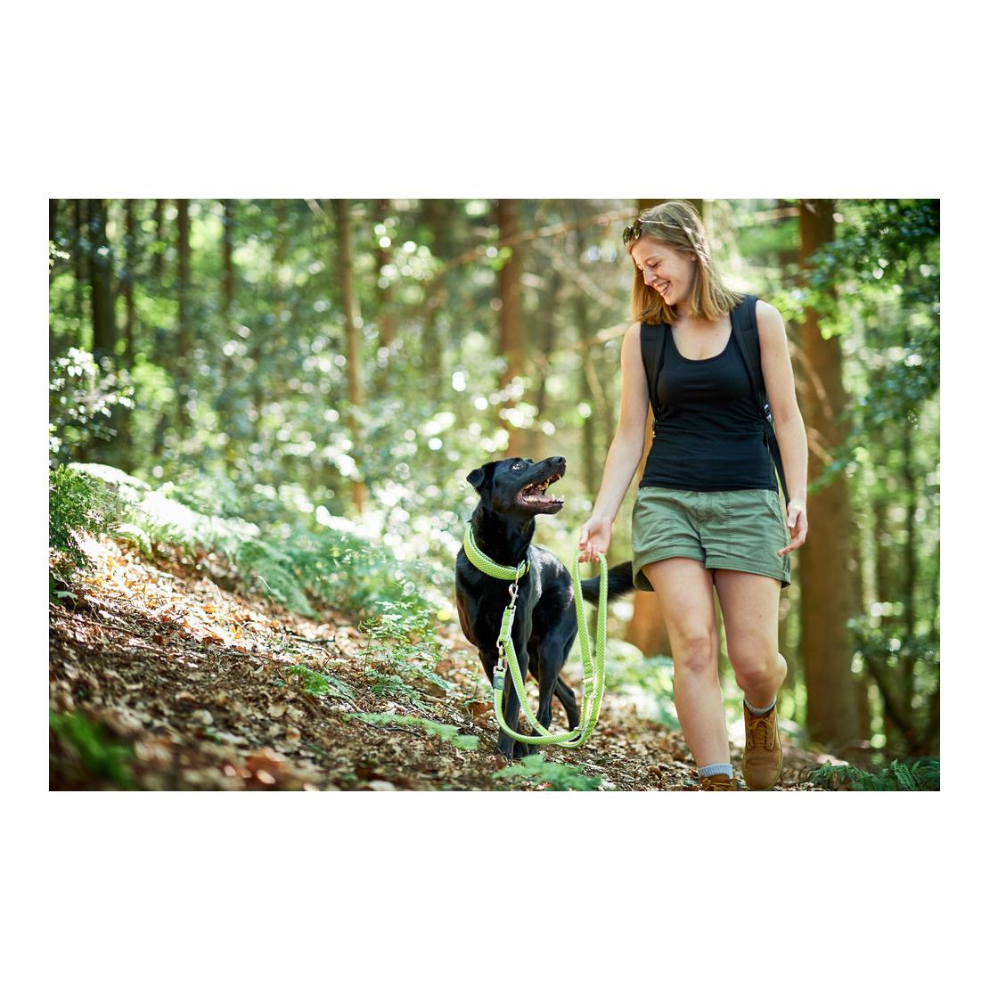 Verstellbare Führleine Hilo - limette