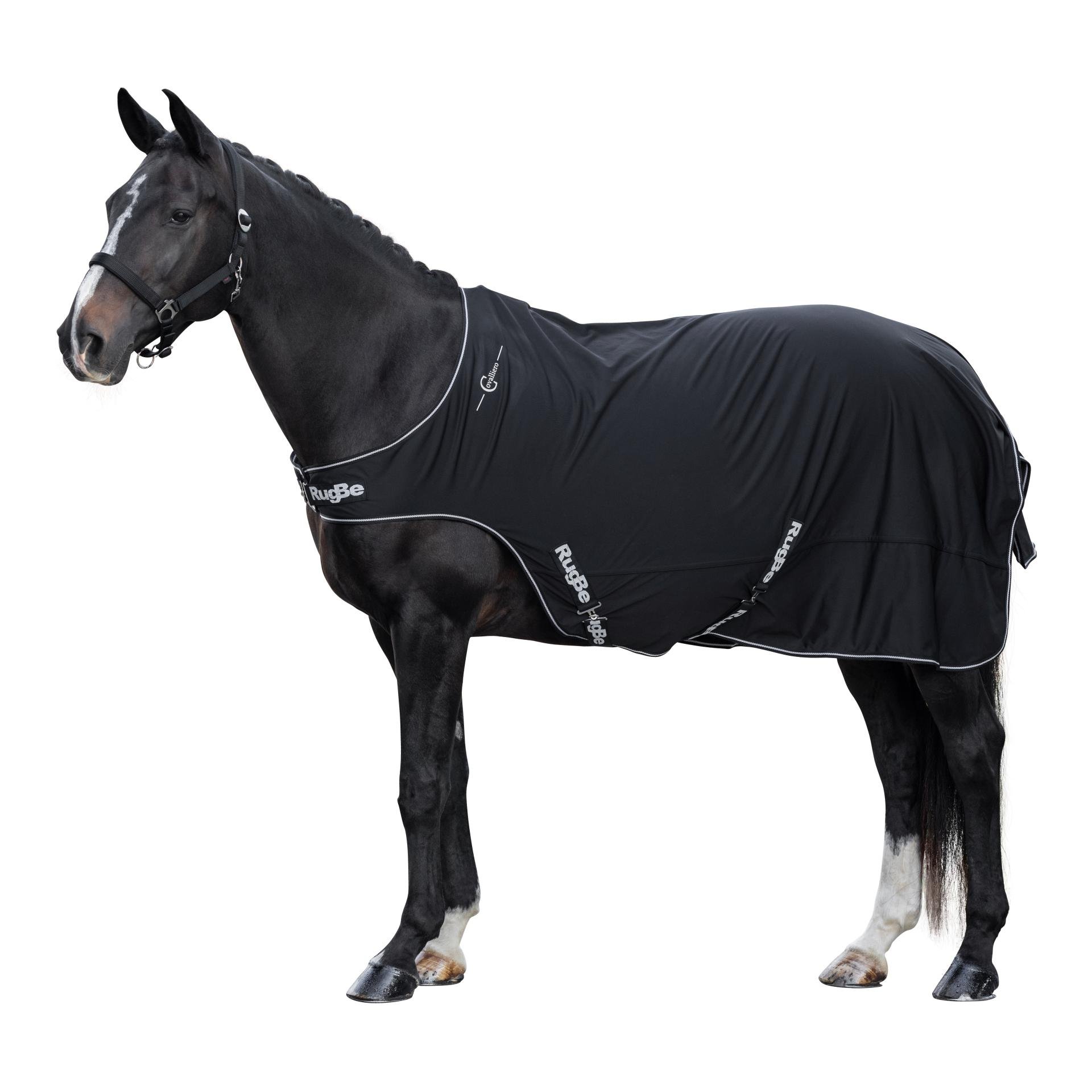 Führanlagendecke RugBe