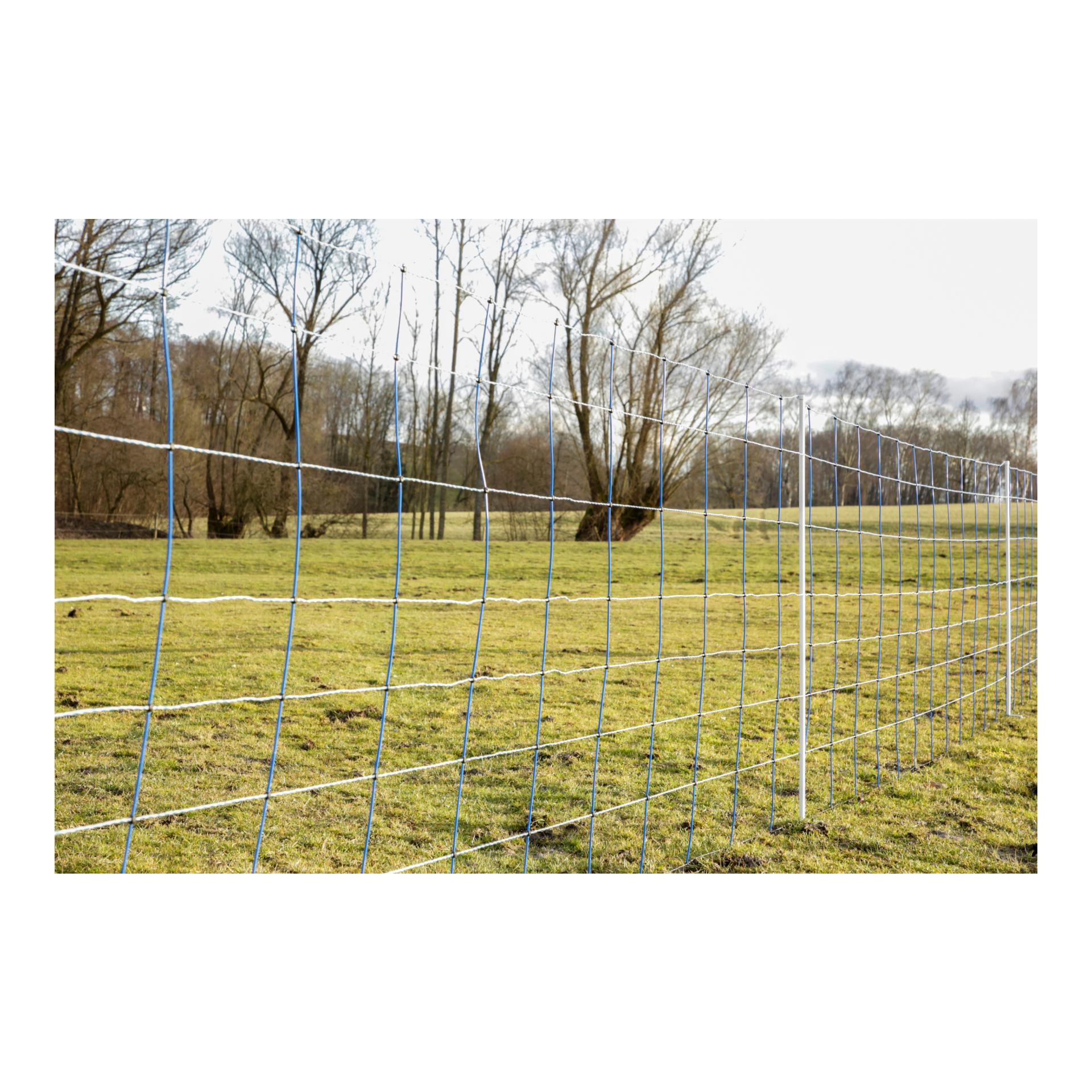 Weidenetz TitanNet - Doppelspitz