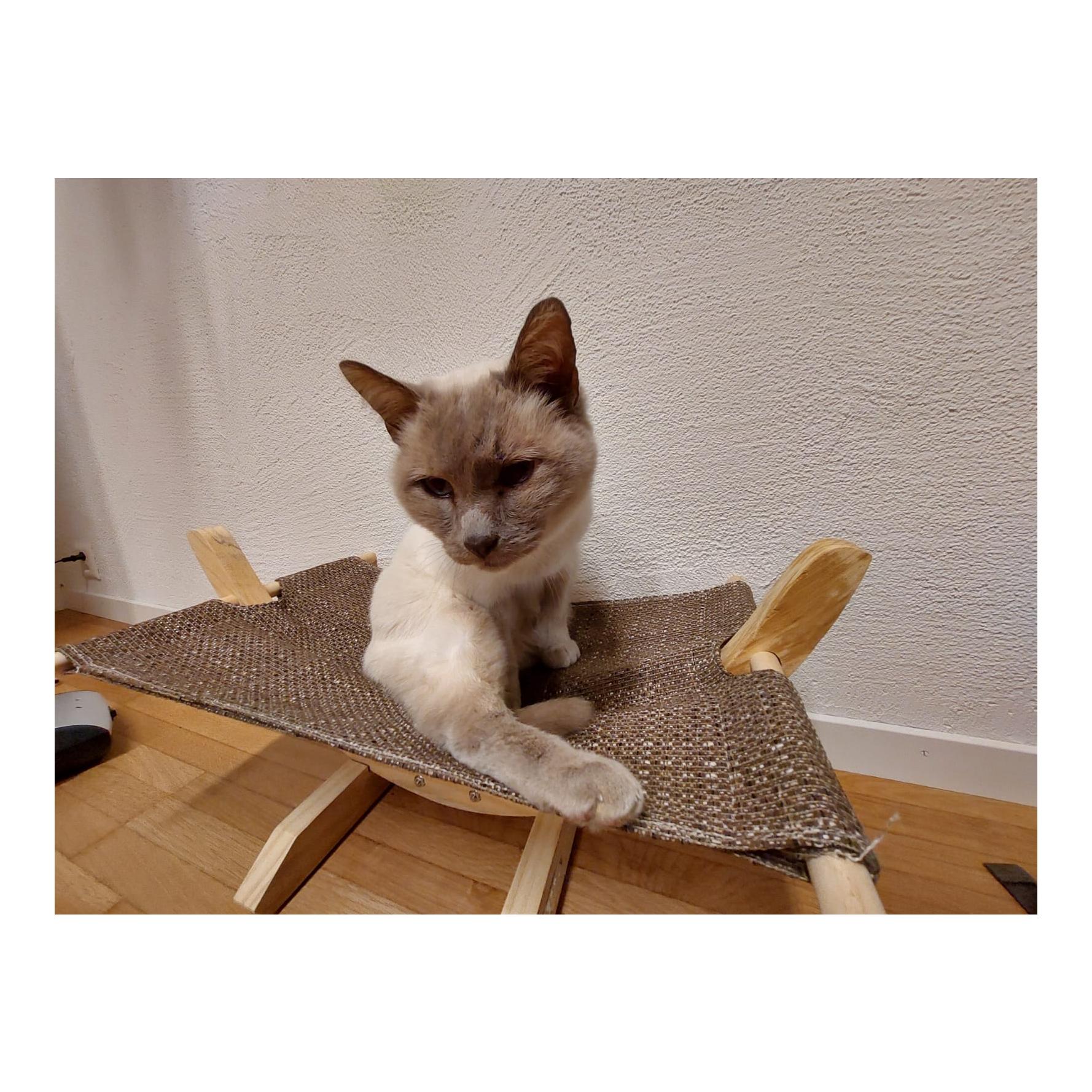 Hängematte Siesta Weiss