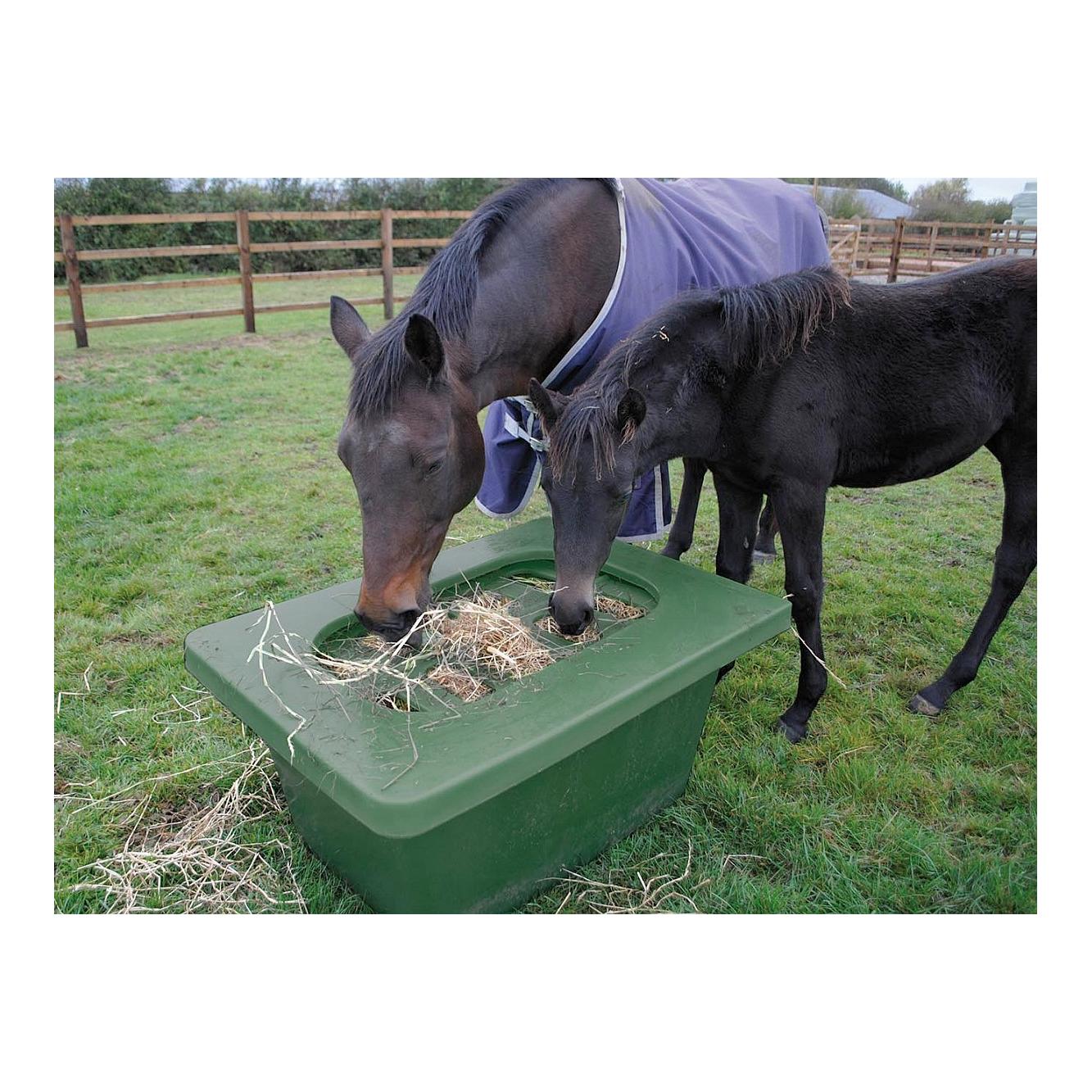 Growi Koppel- u. Paddocktrog aus Kunststoff