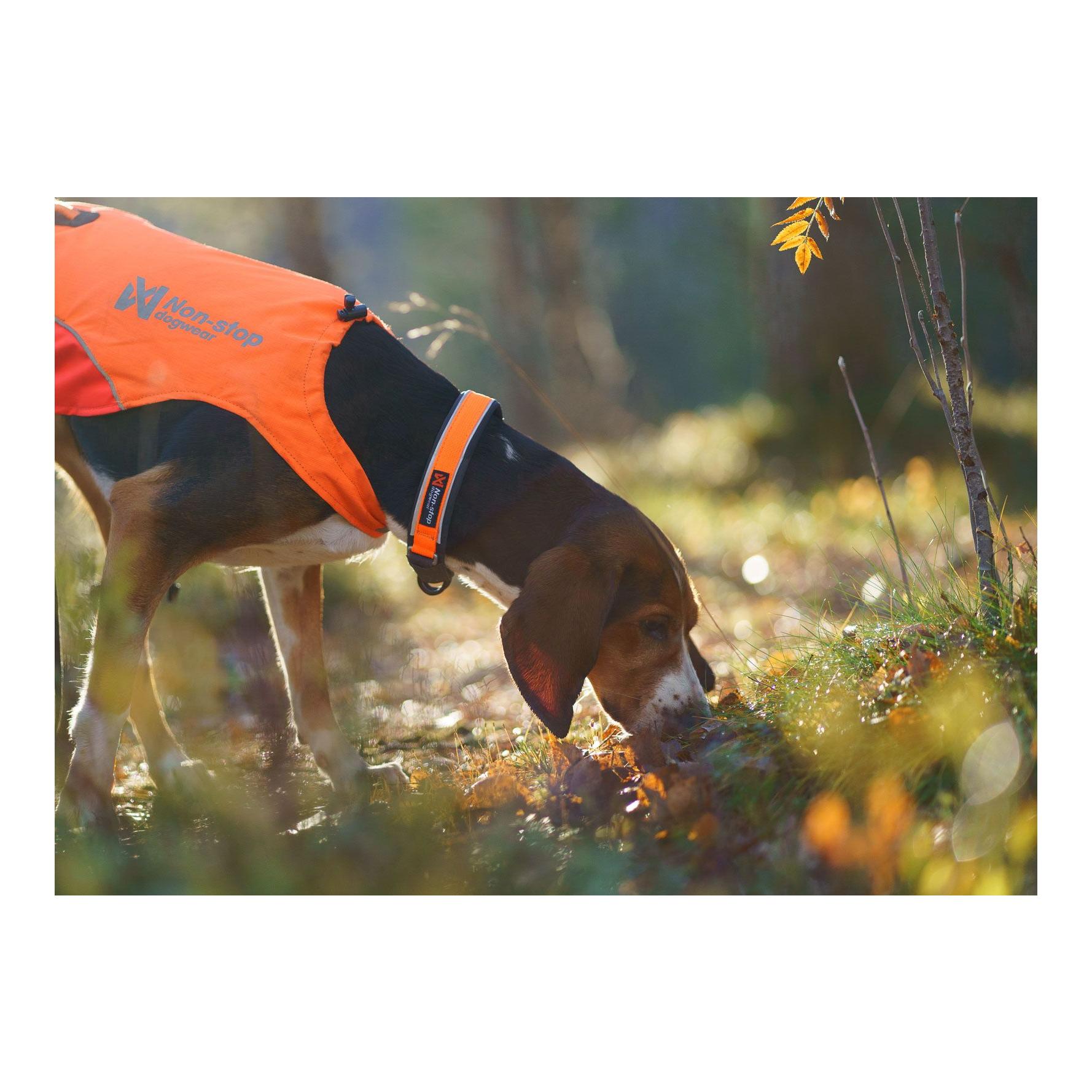 Hundehalsband Protector Collar