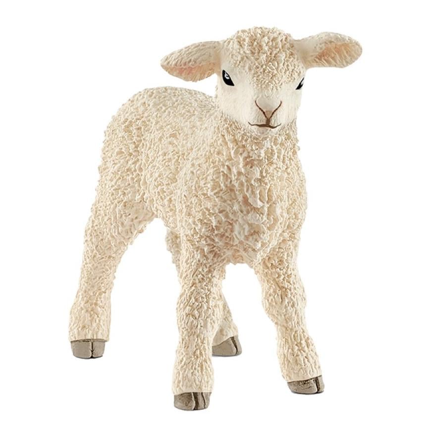 Image of Schleich Lamm - Weiss - bei Hauptner.ch