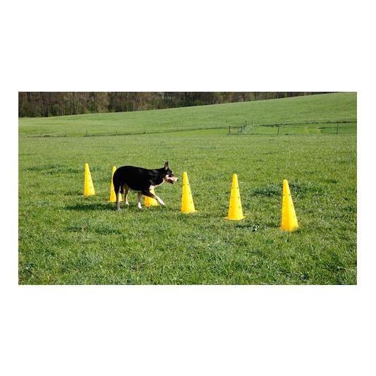 Kit de pylônes-haies Agility