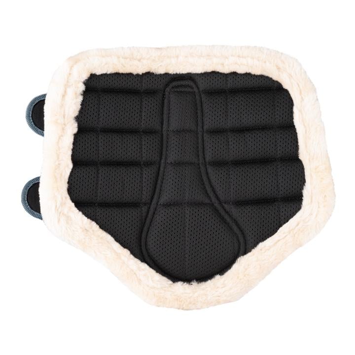 Guêtre de dressage Pegasus